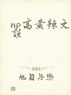 np高黄辣文小说