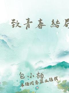 致青春 结局