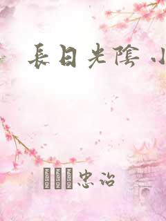长日光阴 小说