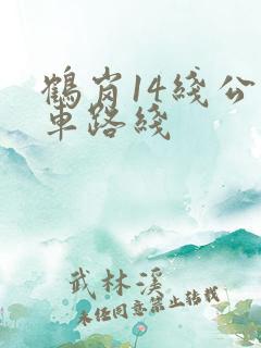 鹤岗14线公交车路线