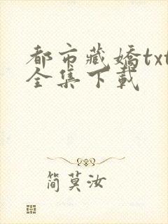 都市藏娇txt全集下载