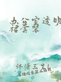 办公室透明半身裙套装