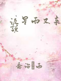 流星雨又来临小说