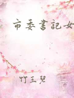 市委书记女婿