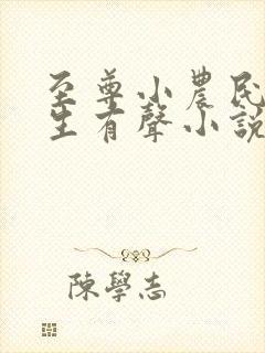 至尊小农民王木生有声小说