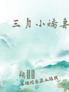 三月小娇妻