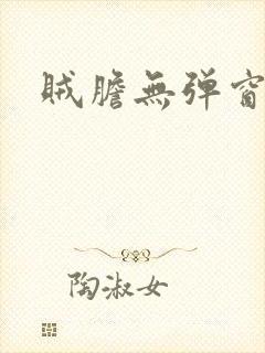贼胆无弹窗
