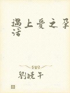 遇上爱之孕夫生活