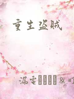 重生盗贼