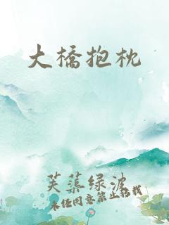 大桥抱枕