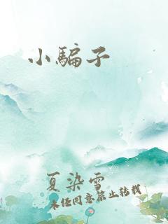 小骗子