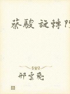 蔡骏 旋转门