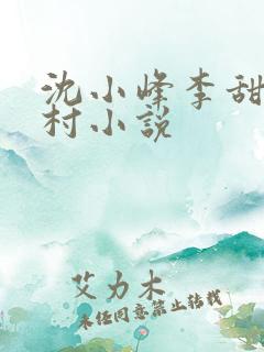 沈小峰李甜的乡村小说