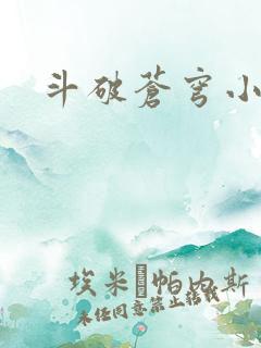 斗破苍穹小说