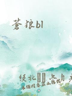 苍狼bl