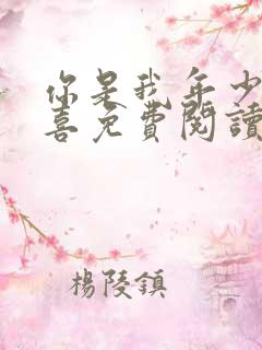 你是我年少的欢喜免费阅读全文