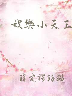 娱乐小天王