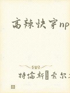 高辣快穿np文