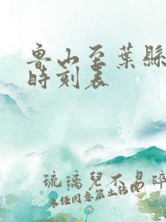 鲁山至叶县公交时刻表