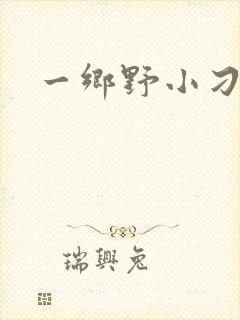 一乡野小刁民