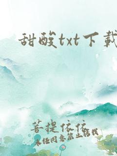 甜酸txt下载