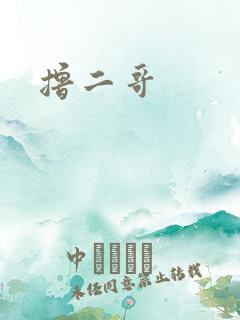 撸二哥