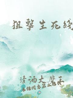 狙击生死线小说