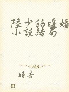 陆少的暖婚新妻小说结局