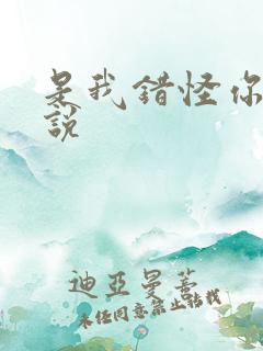 是我错怪你了小说