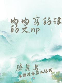 肉肉写的很细致的文np