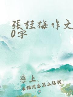 张桂梅作文800字
