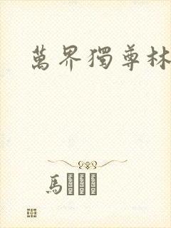 万界独尊林枫