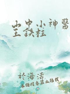 山中小神医免费王铁柱