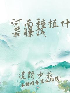 河南种植什么树最赚钱