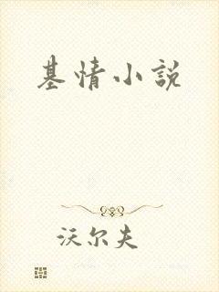 基情小说