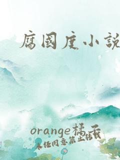 腐国度小说