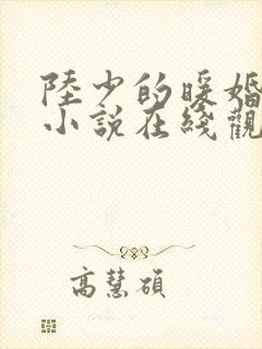 陆少的暖婚新妻小说在线观看