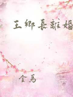 王乡长离婚
