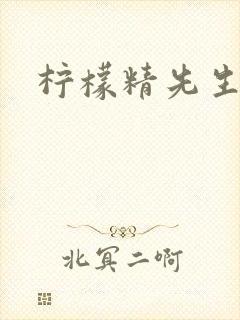 柠檬精先生