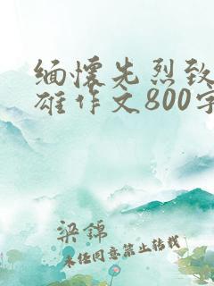 缅怀先烈致敬英雄作文800字