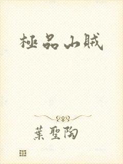 极品山贼