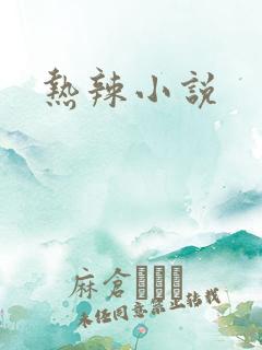 热辣小说
