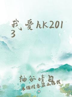 我爱hk2013