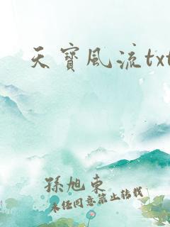 天宝风流txt