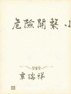 危险关系 小说