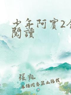 少年阿宾2全文阅读