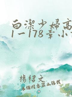 白洁少妇高义第1一178章小说