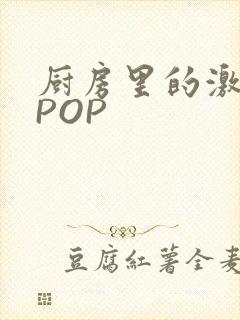 厨房里的激战2POP