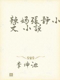 辣妈张静小说全文 小说
