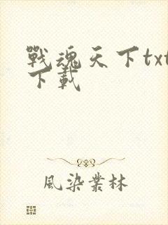 战魂天下txt下载